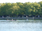 09-2011 SRVN Regatta Hannover (29).JPG